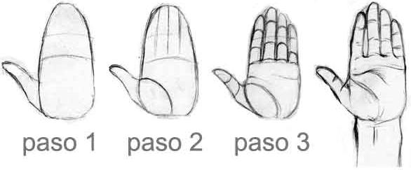 imagenes de manos en diferentes posiciones para dibujar